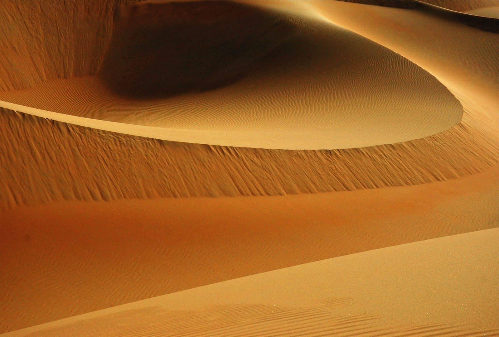 lee miller 47629 unsplash